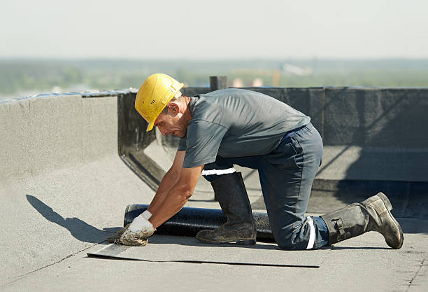 Best Professional Insulation Contractor  in Wyndmoor, PA